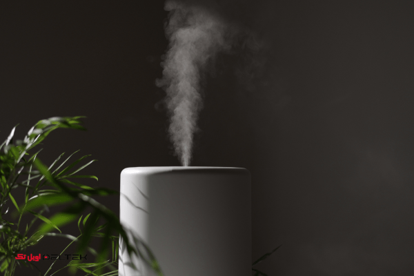 استفاده از بخور گیاهان برای درمان سینوزیت