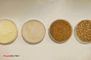 مراحل آسیاب گندم تا تهیه آرد مرغوب و بسته بندی